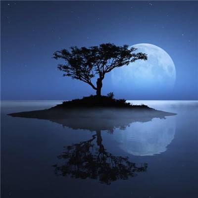 乐发彩app下载截图